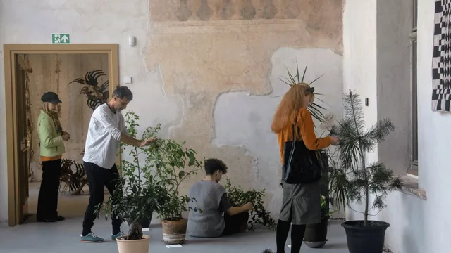 Unmapping Timișoara - Artist Walks | Smaranda Gabudeanu, Florin Flueras