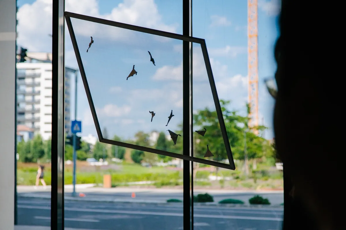 1 august, 17:00–19:00 la Art Encounters / Isho Office 1: Finisaj & tur ghidat FEELS LIKE IT STOPPED RAINING, expoziție, organizator: Art Encounters Foundation;
