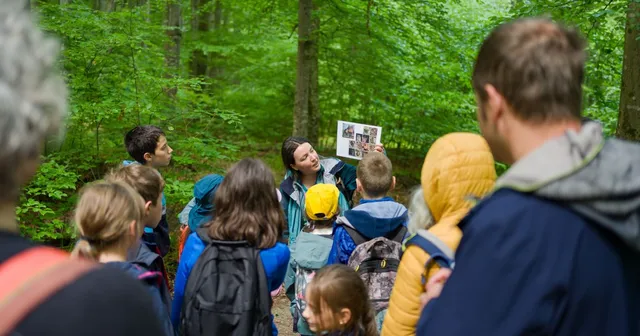 Dusk Bat Walk – A Guided Tour About and With Bats