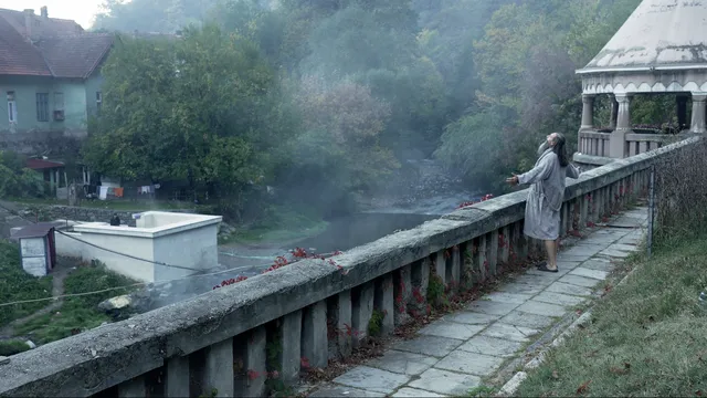 Ceau, Cinema! 2025: Filme Bănățene