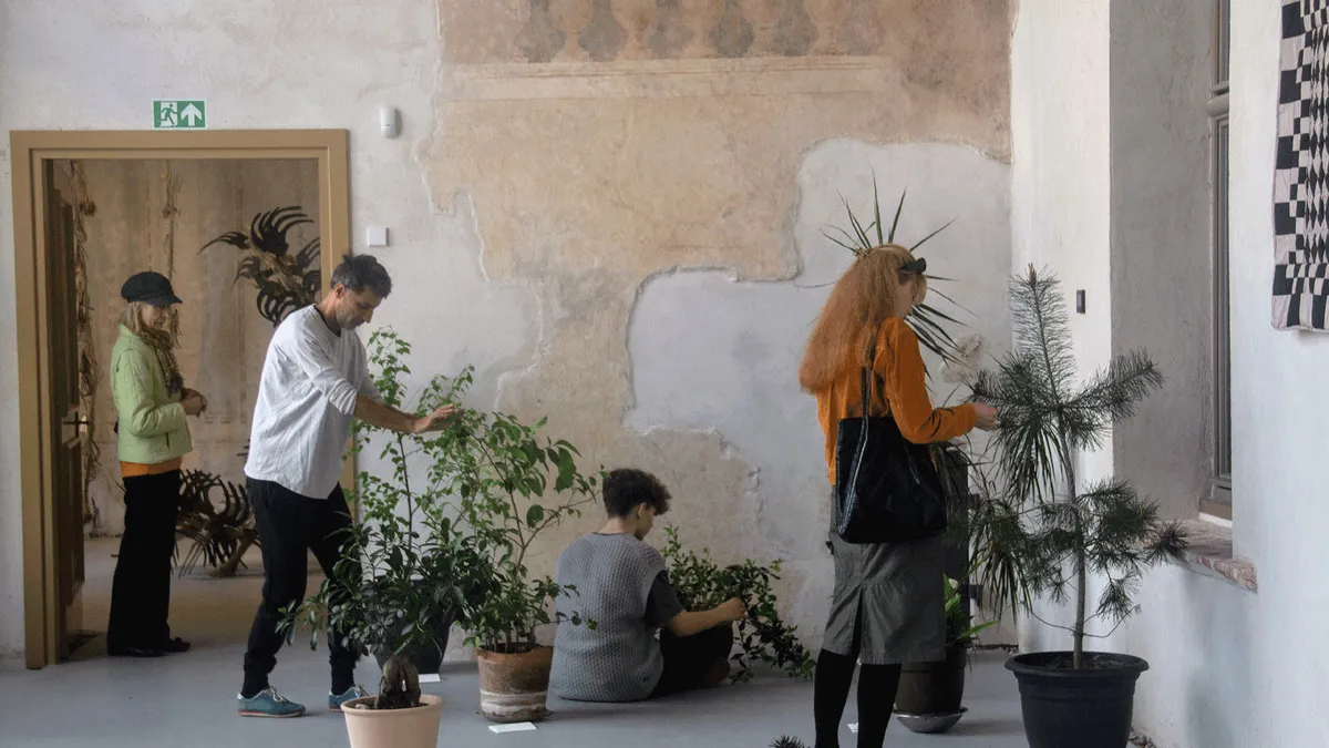 Unmapping Timișoara - Artist Walks | Smaranda Gabudeanu, Florin Flueras
